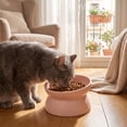 thumbnail image 5 of Elevated Tilted Cat Dog Bowl Raised Pet Feeding Bowl Neck Relief Anti Slip Base for Cats Small Dogs Whisker Friendly Indoor Food Water Dish, 5 of 7