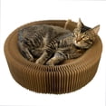 thumbnail image 1 of arena para gatos TFixol nature talla única, 1 of 8