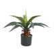 thumbnail image 4 of Planta Artificial en Maceta, Bonsái Artificial para Uso Interior Y Exterior,, 4 of 9