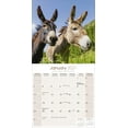 thumbnail image 3 of Donkeys 2021 Wall Calendar, 3 of 3