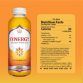 thumbnail image 6 of Synergy The Real Kombucha Gingerade, 16 fl oz, 6 of 9