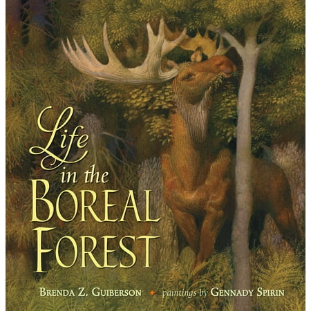 Forest Life - Life in the Boreal Forest