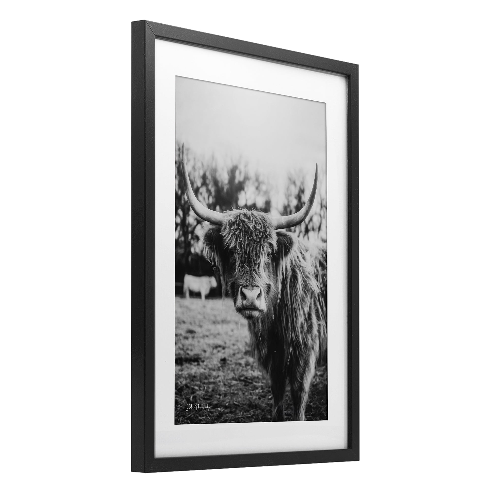 Stupell Industries Peering Highland Cattle Black Framed Print Under Glass, design by Dakota Diener