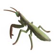thumbnail image 1 of Gprince Simulation Insect Figurines Butterfly Grasshopper Lifelike Animal Model Action Figure Educational Toys For Children, 1 of 9