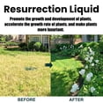 thumbnail image 5 of Rooting Hormone For Cuttings Plant Growth Activators Supplements Liquid Fertilizer Spray 50Ml, Boosts Rooting Hormones & Enhances Growth For Cuttings, 50Ml Liquid Formula For Home, 5 of 9