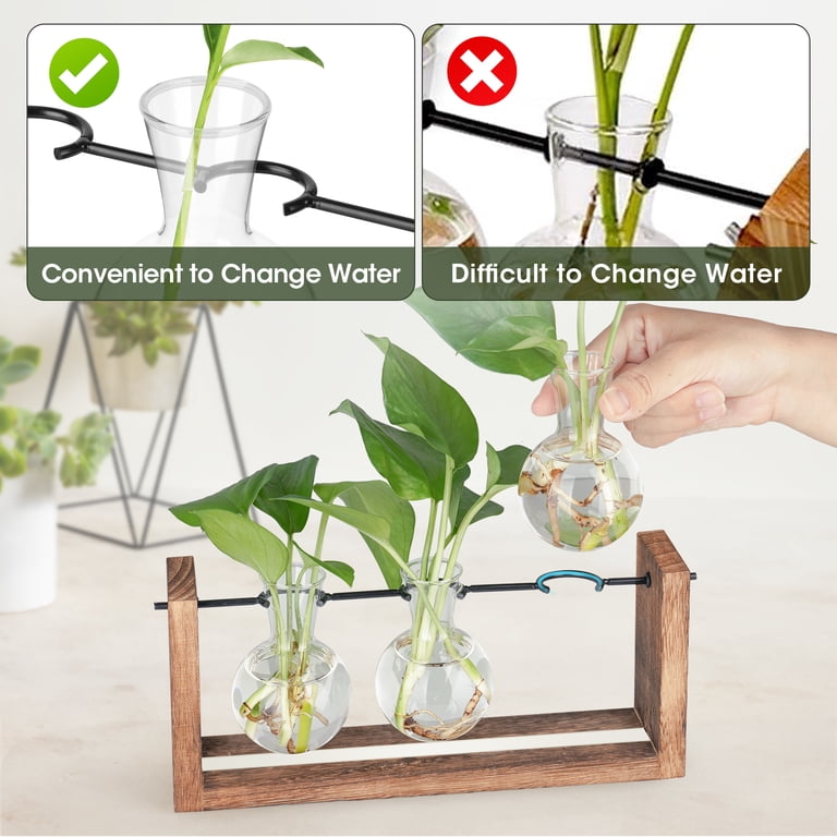 Nihome Light Up Desktop Plant Terrarium with Wooden Stand, Wall Mount Plant Propagation Station, Glass Air Planters for Indoor Plants 3 Bulb