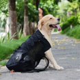 thumbnail image 4 of Woolala Light Weight Pet Carrier Backpack For Small And Medium Dogs, Veterinarian Approved Safe Bag For Travel - Easy Take Space Saving - Black M, 4 of 5