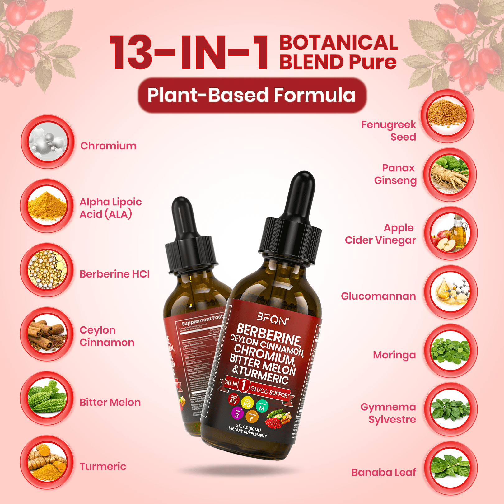 BFQN Organic Berberine & Ceylon Cinnamon Liquid Drops – 13-IN-1 with Bitter Melon, Turmeric, Support Blood Sugar, Metabolism & Weight Management, 2 fl oz (2-Pack)