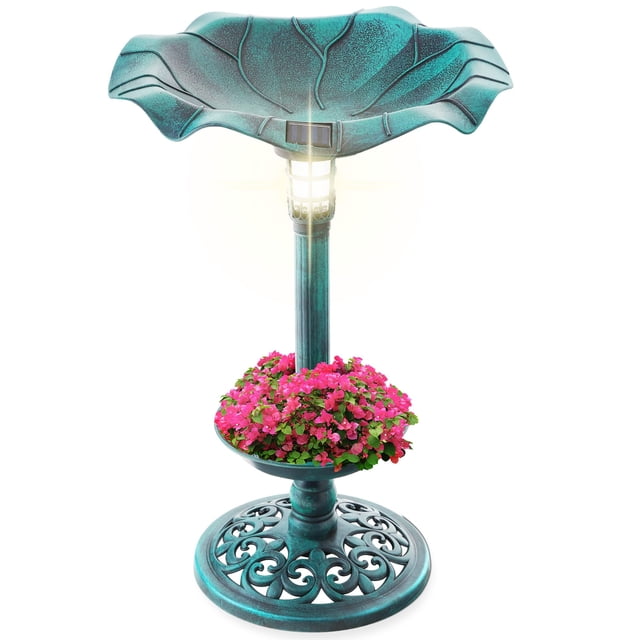 Fuente de baño con pedestal para pájaros con luz solar para exteriores, verde