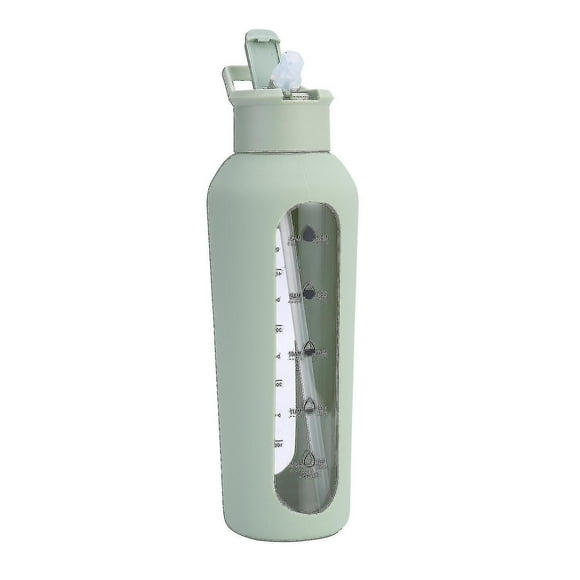 Glass Water Bottle With Straw And Handle Lid Water Bottles With Times To Drink And Straw700ml