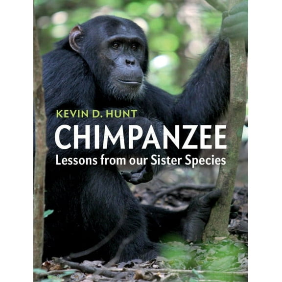 Chimpanzee, (Paperback)