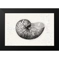 thumbnail image 2 of Lula Bijoux and Company 14x11 Black Modern Framed Museum Art Print Titled - Shell, 2 of 5