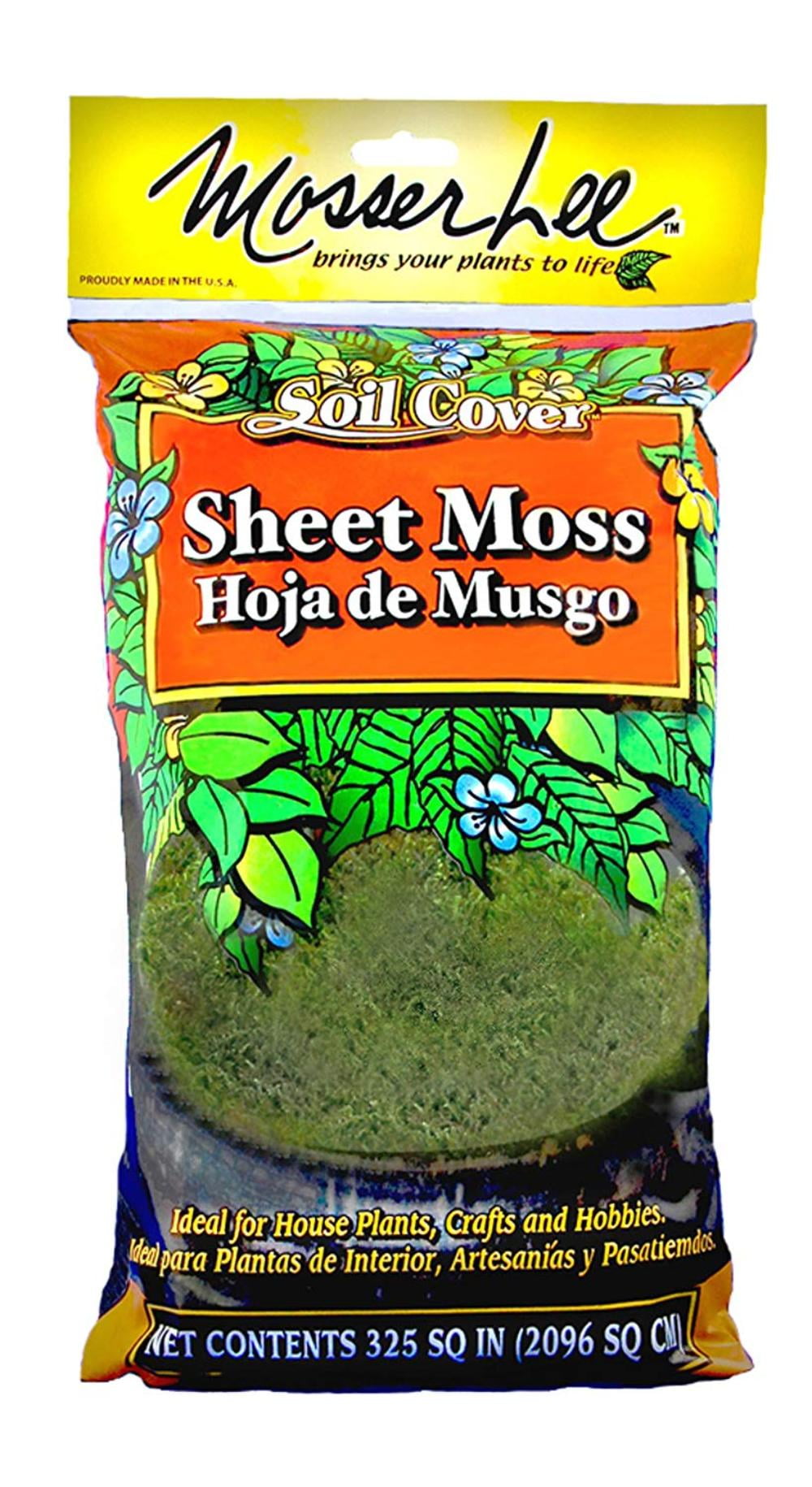 ML0460 Natural Green Sheet Moss, 325 sq. in., Covers soil