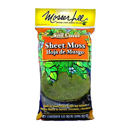 ML0460 Natural Green Sheet Moss, 325 sq. in., Covers soil for interior plants By Mosser