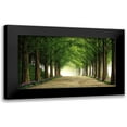 thumbnail image 1 of Seo, Tiger 24x15 Black Modern Framed Museum Art Print Titled - Metasequoia Road, 1 of 5