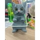 thumbnail image 1 of Portarrollos de Papel Higiénico Decorativos con Forma de Gato para Montar En La Pared, 1 of 6