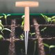 thumbnail image 4 of Mango de madera, cabeza de acero inoxidable recubierta de cromo - Maceta de mano resistente y liviana para herramienta de jardín Tulip Daffodil Crocus (paquete de 2) Zefei Wu 1327533067676, 4 of 5