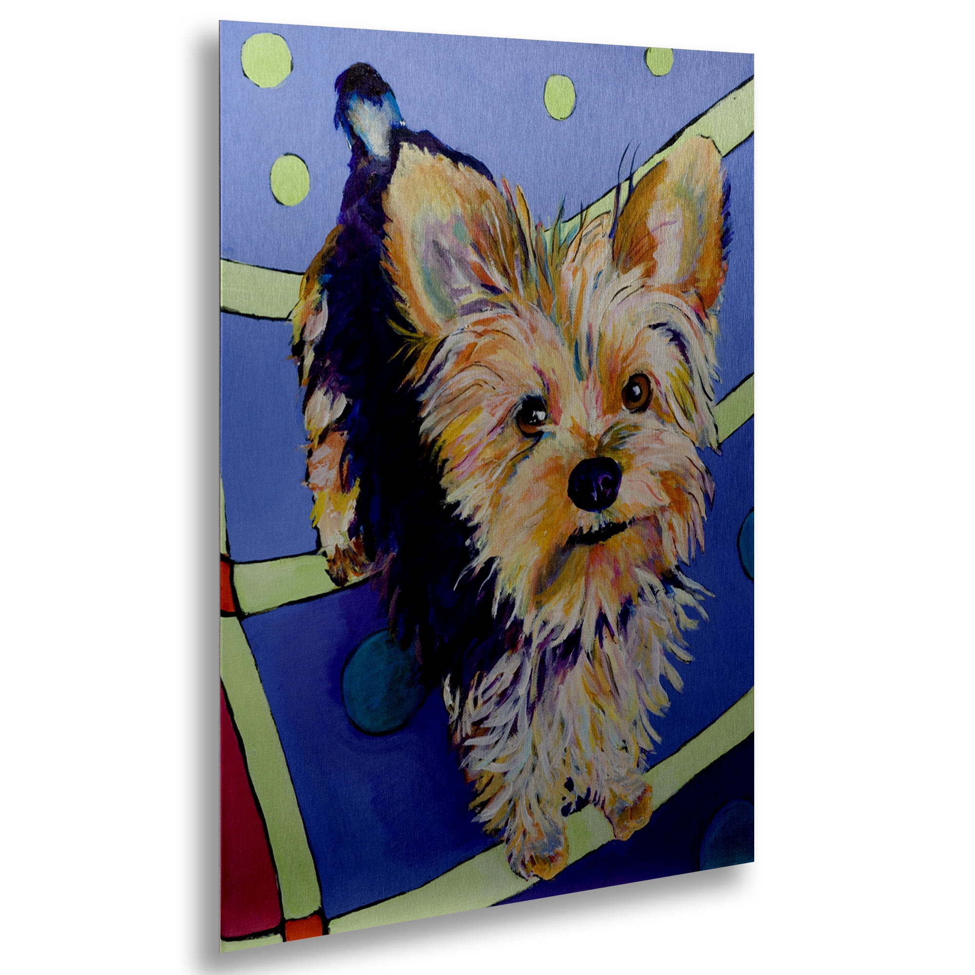 Trademark Fine Art 'Claire' Brushed Aluminum Wall Art Art by Pat Saunders-White