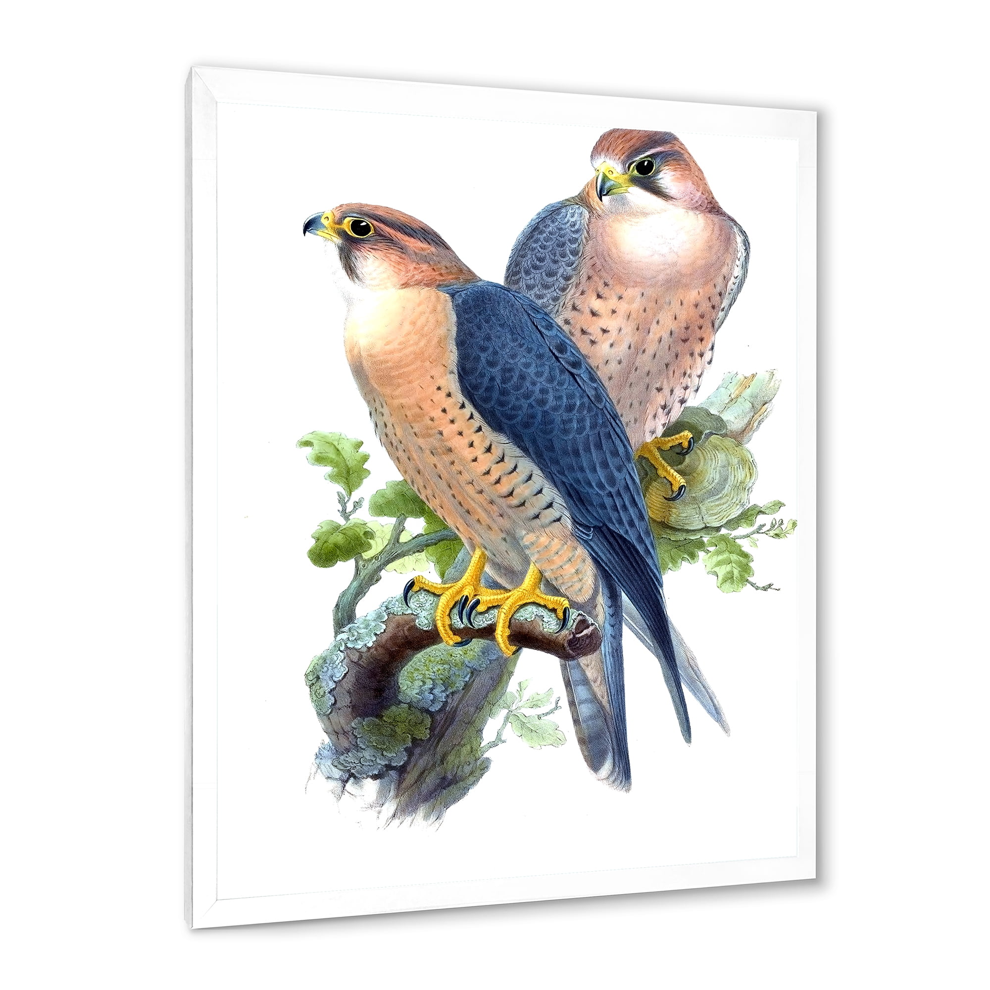 Designart 'Ancient Birds II' Traditional Framed Art Print
