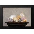 thumbnail image 2 of McNemar, C. Thomas 18x13 Black Modern Framed Museum Art Print Titled - Seashell Still Life II, 2 of 5