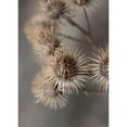 thumbnail image 3 of Design Fabrikken 18x24 Black Modern Framed Museum Art Print Titled - Avantgarde, 3 of 5