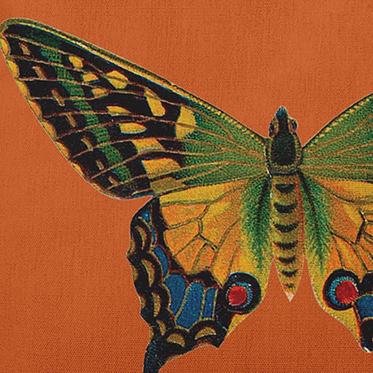 Simply Daisy 16-inch Square Colorful Swallowtail Poly Throw Pillow, Perfect Orange Qty 1