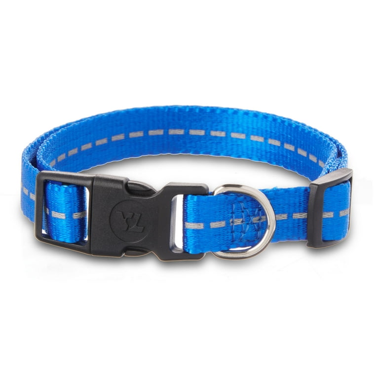 Vibrant Life Solid Nylon Dog Collar with Metal Buckle, Blue
