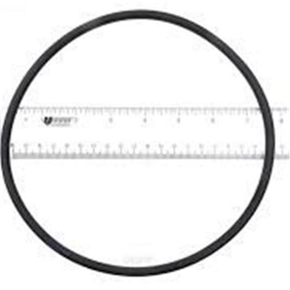 U9369 Starite O-Ring