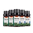 thumbnail image 3 of Aroma Unilateral Natural Oil Aromatherapy 10ml Humidifier, 3 of 3