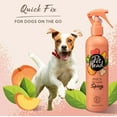 thumbnail image 3 of Pet Head Quick Fix Dry Clean Spray for Dogs Peach with Argan Oil - 10.1 oz, 3 of 5