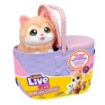 thumbnail image 2 of Juguete Set de Juego Familias Little Live Pets con Mama y Gatitos, 2 of 5