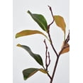 thumbnail image 4 of 28" Faux Magnolia Leaf Branch Stem, 4 of 7