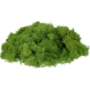 Uxcell Preserved Reindeer Moss, 7 oz Fake Moss for Crafts Artificial Dried Moss for Decoration, Craft, Terrariums, Potted Plants, Centerpieces Fairy Gardens (Light Green)