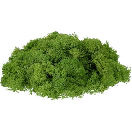 Uxcell Preserved Reindeer Moss, 7 oz Fake Moss for Crafts Artificial Dried Moss for Decoration, Craft, Terrariums, Potted Plants, Centerpieces Fairy Gardens (Light Green)