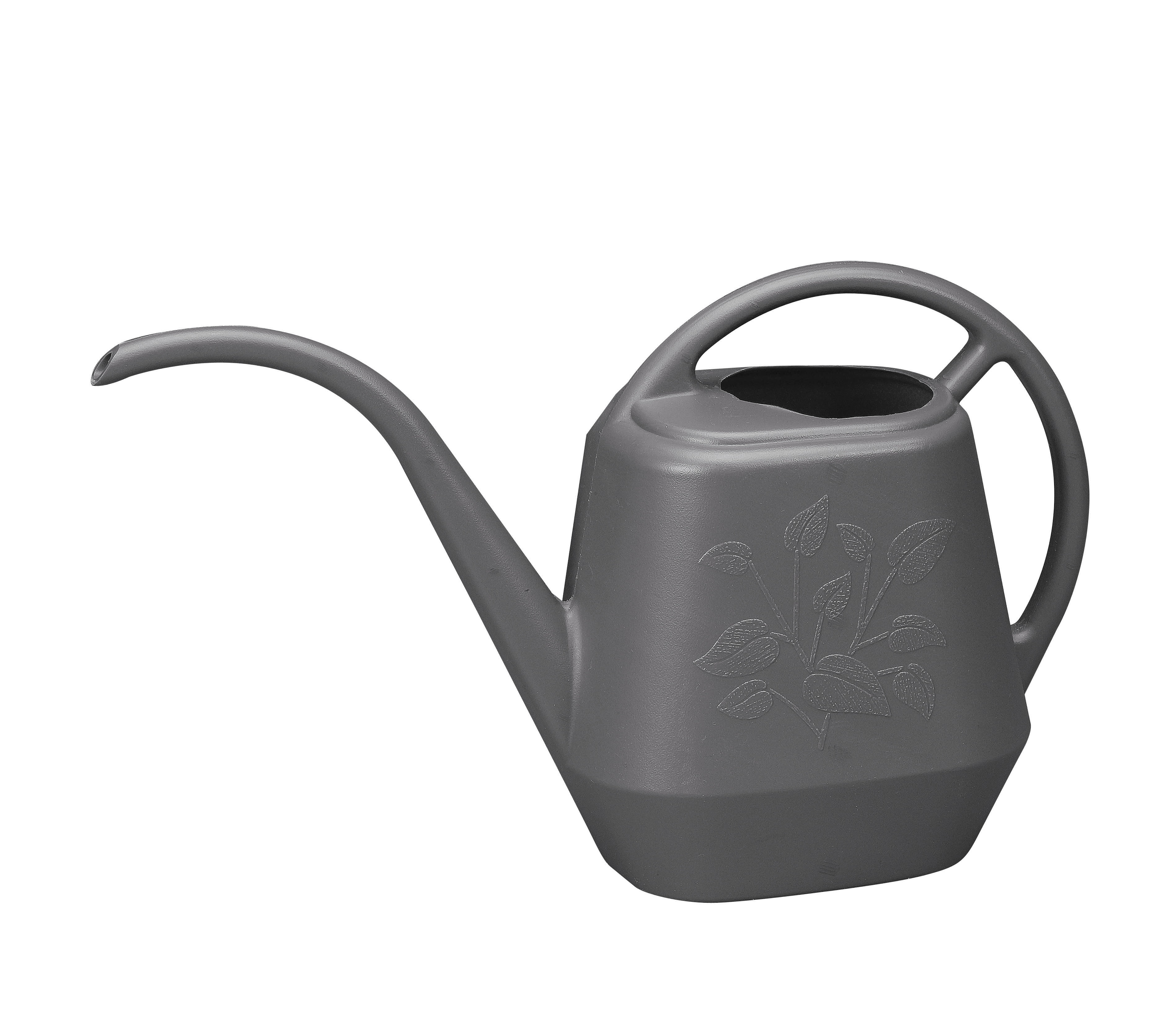 Novelty 2019 Watering Can silberf 