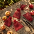 thumbnail image 5 of 100pcs Fruit Protection Bags, Fruit Bags for Fruit Trees, Green Netting Fruit Cover Bags Drawstring Mesh Fruit Protectors Pest Barrier for Fruit Trees Veggies Garden, Wine Red 2.76x3.54in, 5 of 6