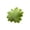 Green-GN, variant on MMJ Halloween Pillow Maple Leaf Shaped 15.75x15.75in Soft Stuffed, Durable for Sofa Bed Car Lumbar Halloween Decor
