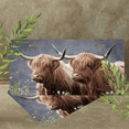 thumbnail image 4 of 1 Pcs Durable License Plate Covers & Frames, Highland Cattle For Decorative Front, Waterproof For Decoration Aluminum License Plate Covers & Frames Cover For Men Women, 12" X 6", 4 of 6