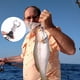 thumbnail image 4 of Alicates de pesca Ticfox de aluminio multifuncionales Alicates de anillo dividido, 4 of 10
