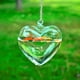thumbnail image 5 of Comedero de Vidrio para Colibríes, de Vidrio Soplado a Mano, para Decoración de Jardín Al Aire Libre., 5 of 6