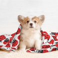 thumbnail image 4 of Rocae Cartoon Ladybug for Pet Blanket Dog Blanket Cat Blanket Soft Sleep for Small Medium Pet-Large, 4 of 8
