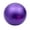 A003- Purple, variant on Exercise Yoga Ball 29.5 Inch Pvc Massage Anti-Burst Stability Ball For Adult Fitness Workout With Pump Plug Included