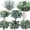 Eucalyptus Leaves Stems-120, variant on 6 Kinds Mixed Eucalyptus Leaves Stems Bulk Artificial Silver Dollar Leaves Picks Dried Eucalyptus Bundle Faux Spray for Wedding Vase Bouquet Decor