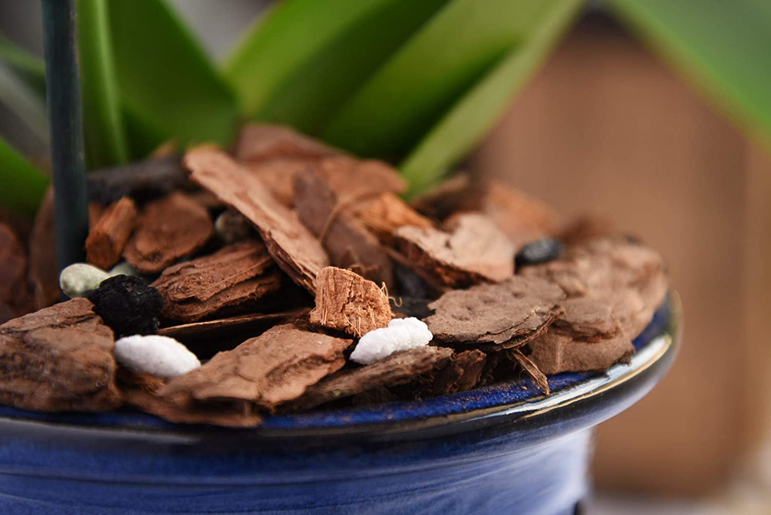 Organic Orchid Potting Mix by Perfect Plants - 8 Quarts