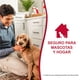 thumbnail image 4 of Removedor Natures Miracle manchas y olores 709 ml para perro, 4 of 8
