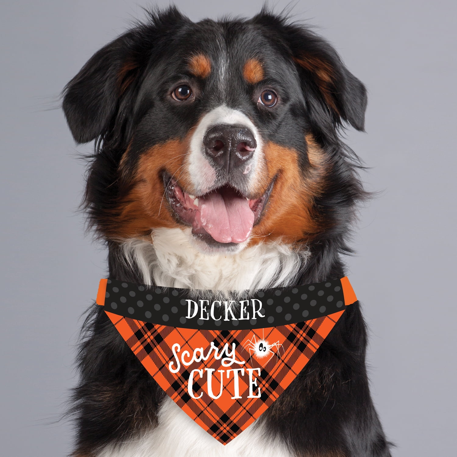 Personalized Scary Cute Halloween Pet Bandana