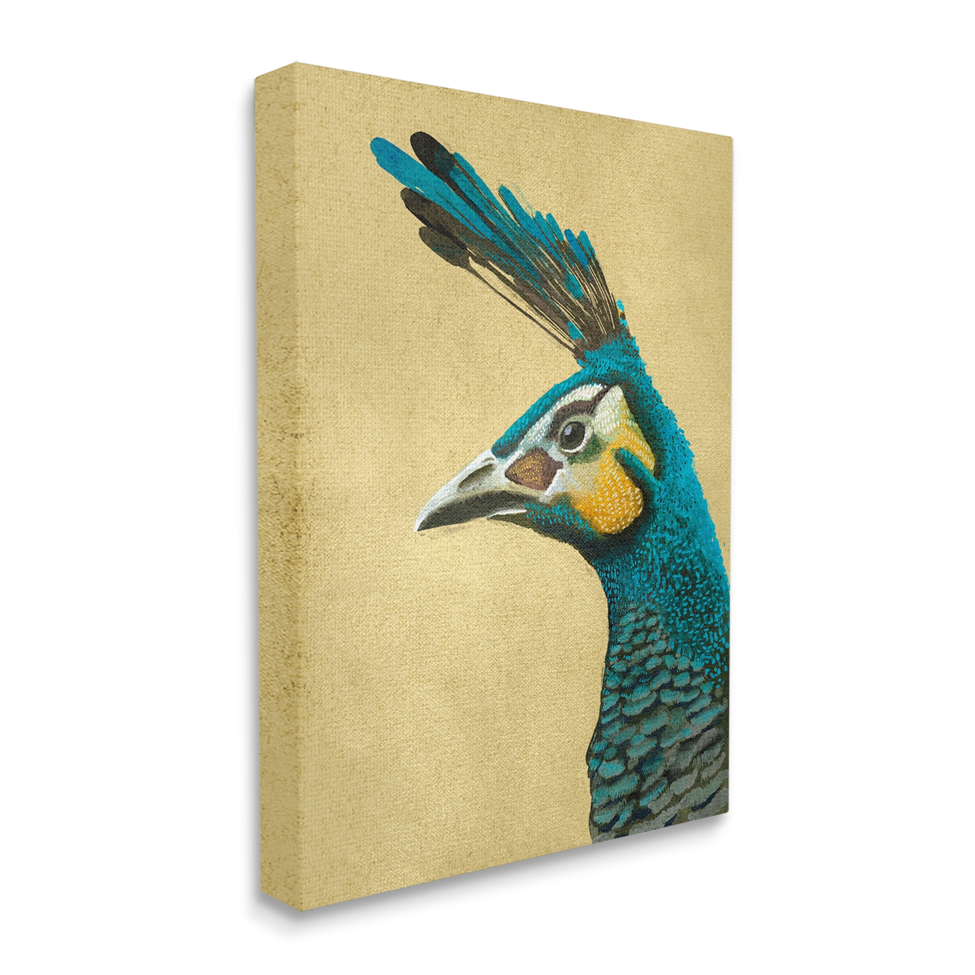 Stupell Industries Peacock Looking Left Animals & Insects Painting Gallery Wrapped Canvas Art Print Wall Art, 30 x 40
