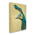 thumbnail image 4 of Stupell Industries Peacock Looking Left Animals & Insects Painting Gallery Wrapped Canvas Art Print Wall Art, 16 x 20, 4 of 8