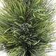 thumbnail image 4 of xihome Árbol de Navidad artificial en miniatura de 30 cm (11,81 pulgadas) para decoracin de mesa, centro de mesa navideño realista de plstico sin maceta, fcil de montar y guardar, 4 of 8