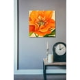 thumbnail image 3 of Epic Art 'Copper Petals II' by Annie Warren, Acrylic Glass Wall Art, 24"x24", 3 of 5